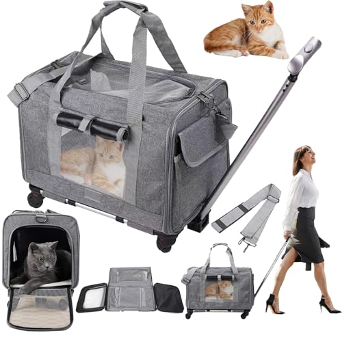 Katzentransportbox, 48 x 40 x 32cm Katzenbox Katzenkorb Transport Katzentransporttasche Hundebox Teleskopgriff Faltbare Transportbehälter Katzen für 1-2 Katzen Hundetragetasche bis 13.5kg mit Rollen Katzentransportbox, 48 x 40 x 32cm Katzenbox Katzenkorb Transport Katzentransporttasche Hundebox Teleskopgriff Faltbare Transportbehälter Katzen für 1-2 Katzen Hundetragetasche bis 13.5kg mit Rollen von Aisny