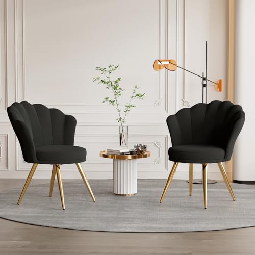 Aivermeil Esszimmerstühle Samt • Muschelsessel mit Rückenlehne & Armlehnen • Schminktisch Stuhl • Polstersessel Elegant • Akzentstuhl mit Gold Metallbeinen Accent Chair • Schwarz x 2 von Aivermeil