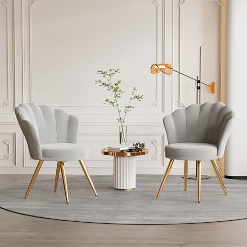 Aivermeil Velvet Accent Chair with Gold Metal Legs •Vanity Chair for Makeup Room •Upholstered Guest Chair for Living Room •Side Chair for Bedroom •Grey •Set of 2 Aivermeil Velvet Accent Chair with Gold Metal Legs •Vanity Chair for Makeup Room •Upholstered Guest Chair for Living Room •Side Chair for Bedroom •Grey •Set of 2 von Aivermeil