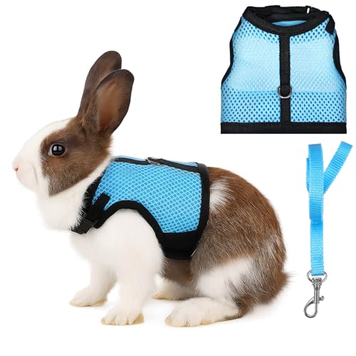 Hasengeschirr und Leine, verstellbar, atmungsaktiv, Netzgewebe, mit Doppelschnallen, ausbruchsicheres Gehtraining für Kätzchen, Kaninchen, Frettchen, Meerschweinchen, kleine Haustiere, Hellblau, Größe Hasengeschirr und Leine, verstellbar, atmungsaktiv, Netzgewebe, mit Doppelschnallen, ausbruchsicheres Gehtraining für Kätzchen, Kaninchen, Frettchen, Meerschweinchen, kleine Haustiere, Hellblau, Größe von Aiyorse