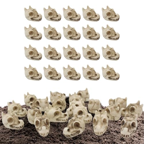 Aizuoni Steine Für Vasen | Vase Füllsteine - Zwanzigfache Harzpolierte Accessoires Drachenschädel Design Für Aquarien Garten Landschaftsgestaltung von Aizuoni