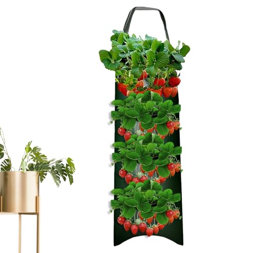 Pflanzsack Hängend Für Erdbeerpflanzen, 4/6/8/10 Löcher Pflanzsack Hängend, Erdbeertopf Erdbeerturm, Erdbeer Pflanzbeutel, Pflanzgefäße Für Gemüsepflanzung Für Wachstum - Gartenbeutel Für Tomaten von Aizuoni