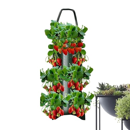 Pflanzsack Hängend Für Erdbeerpflanzen, 4/6/8/10 Löcher Pflanzsack Hängend, Erdbeertopf Erdbeerturm, Erdbeer Pflanzbeutel, Pflanzgefäße Für Gemüsepflanzung Für Wachstum - Gartenbeutel Für Tomaten von Aizuoni