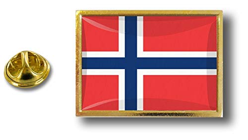 Akachafactory pin flaggenpin flaggen Button pins anstecker Anstecknadel sammler norwegen von Akachafactory