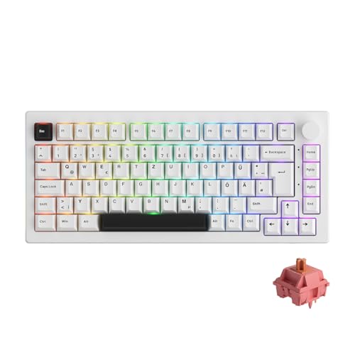 Akko 5075B Plus VIA Gaming-Tastatur, 2,4 GHz/BT5.0/kabelgebundene Tastatur mit Hot-Swap-fähigem Linearschalter, RGB, Dichtungshalterung, vierstufige Geräuschreduzierung (Schwarz auf Weiß, Rosewood) Akko 5075B Plus VIA Gaming-Tastatur, 2,4 GHz/BT5.0/kabelgebundene Tastatur mit Hot-Swap-fähigem Linearschalter, RGB, Dichtungshalterung, vierstufige Geräuschreduzierung (Schwarz auf Weiß, Rosewood) von Akko