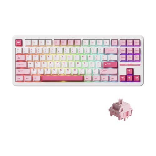 Akko TAC87 Kabelgebundenes mechanisches Tastatur, 88 Tasten, 80% TKL US-Layout, Prunus Lannesiana Hot-Swap-fähige Gaming-Tastatur mit PBT-Tastenkappen im Cherry-Profil (Stellar Rose Switch) von Akko