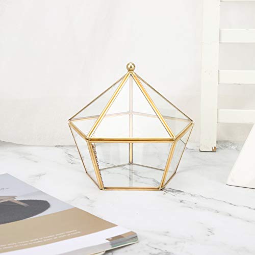 Akozon Geometrisches Blumenhaus aus Glas mit Goldenen Sukkulenten, Staubdichter Abdeckung, Kupferrahmen und Konservierten Blumen – Perfektes Deko-Terrarium für Zuhause und Büro von Akozon