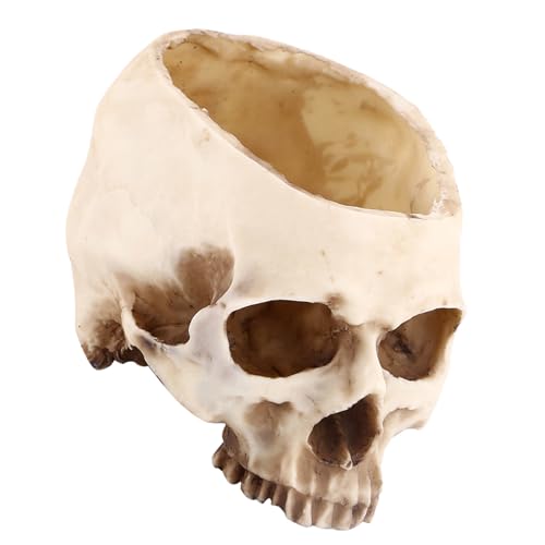 Akozon Skull Blumentopf, Harz Schädel Kopf Design Blumentopf Pflanzgefäß Container Halloween Totenkopf Künstliche Skull Head Blumentopf Figur Modell Pflanzen Container Haus Bar Akozon Skull Blumentopf, Harz Schädel Kopf Design Blumentopf Pflanzgefäß Container Halloween Totenkopf Künstliche Skull Head Blumentopf Figur Modell Pflanzen Container Haus Bar von Akozon