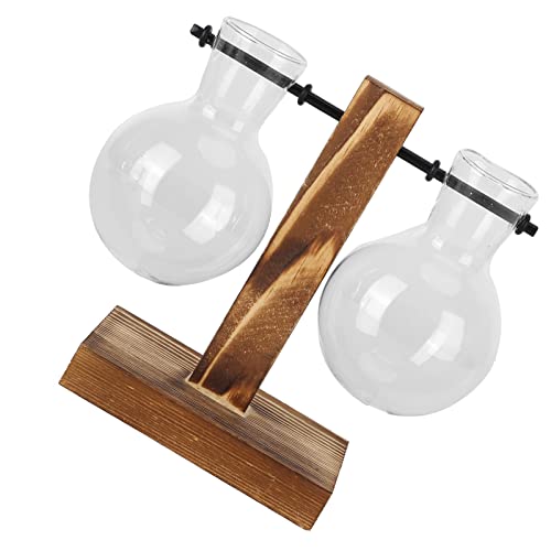Innovative Pflanzvase mit Holzständer, Transparente Glas-Hydrokulturvase, Tischdekoration, Typ A (Type C) von Akozon