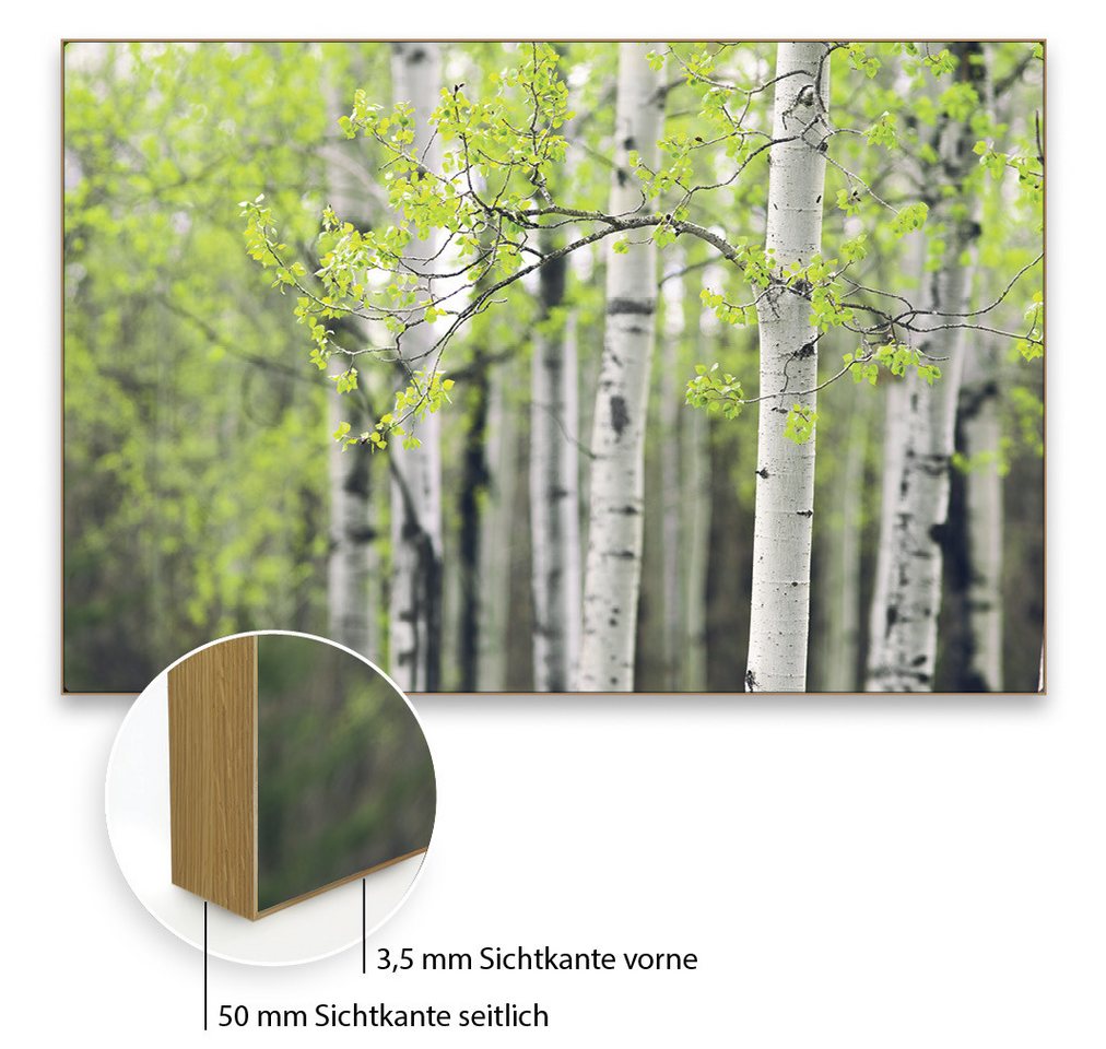 Akustikbild-Manufaktur Bild mit Rahmen Akustikbild "Birke 4" - Ihre Lösung für bessere Raumakustik, Schallschutzbild mit sehr guten Schallabsorptions-Eigenschaften Akustikbild-Manufaktur Bild mit Rahmen Akustikbild "Birke 4" - Ihre Lösung für bessere Raumakustik, Schallschutzbild mit sehr guten Schallabsorptions-Eigenschaften von Akustikbild-Manufaktur