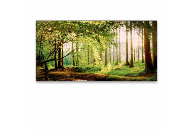 Akustikbild-Manufaktur Bild mit Rahmen Schallabsorber 140x70x5 cm, "Wald 3 Panorama" (Motiv wechselbar), Schallschutzbild mit sehr guten Schallabsorptions-Eigenschaften von Akustikbild-Manufaktur