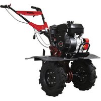 AL-KO Benzin-Motorhacke »Premium«, 3,6 kW - schwarz AL-KO Benzin-Motorhacke »Premium«, 3,6 kW - schwarz von Al-Ko