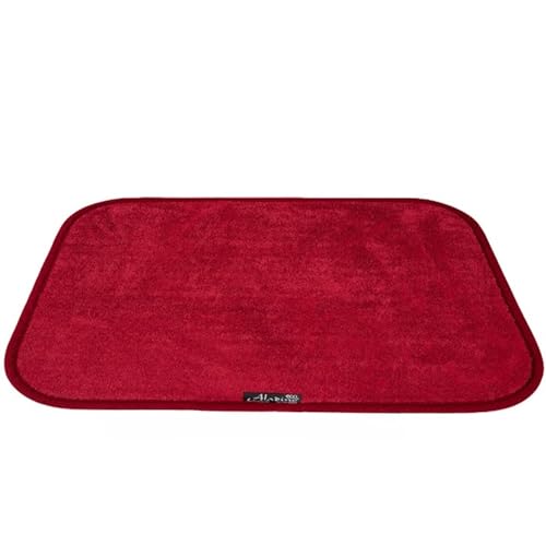 Aladino il tappeto Magico® Premium Fußmatte Für Den Eingangsbereich - Waschbarer Teppich Schmutzfangmatte - Mikrofaser-rutschfest & Langlebig-Ideal Für Haustiere (Bordeaux, 100_x_65_cm) von Aladino il tappeto Magico