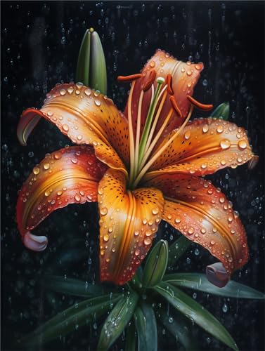 Diamond Painting Blumen, 5D Diamant Painting Erwachsene Kinder Bilder, Lilie Diamond Painting Set, Full Drill Diamant Painting Bastelset Erwachsene Diamonds Stickerei Malerei Home Decor 80x105cm Y912 Diamond Painting Blumen, 5D Diamant Painting Erwachsene Kinder Bilder, Lilie Diamond Painting Set, Full Drill Diamant Painting Bastelset Erwachsene Diamonds Stickerei Malerei Home Decor 80x105cm Y912 von Alaoan