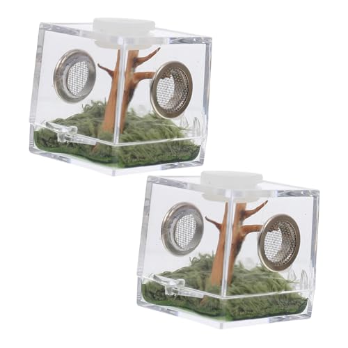 Alasum 2 Satz Kleine Hochtransparente Spinnen Habitatbox Leichter Tragbarer Terrarienkäfig für Springspinnen für Insektenhaltung und Dekorative Aufzucht Alasum 2 Satz Kleine Hochtransparente Spinnen Habitatbox Leichter Tragbarer Terrarienkäfig für Springspinnen für Insektenhaltung und Dekorative Aufzucht von Alasum