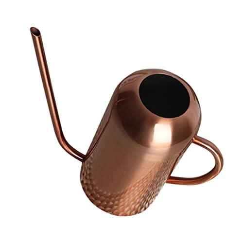 Alasum Edelstahl Gießkanne mit Langem Ausguss Langlebiges Gartenbewässerungswerkzeug Ergonomischer Griff Rostfrei für Zimmerpflanzen und Balkonpflanzen Komfortable Handhabung von Alasum