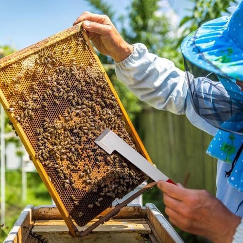 Alasum Edelstahl Imkereibedarf Bienenstockwerkzeug J Haken Abstreicher Langlebig Rot Bienenzucht Multifunktionalschaber von Alasum