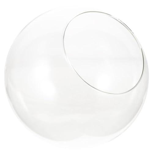 Alasum Glas Terrarium Schräger Glasflaschen Design Pflanzgefäß für Moos Sukkulenten Micro Landschaft Wohnzimmer Dekoration Langlebiges Stabiles Glas von Alasum