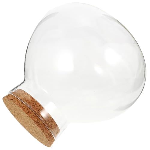 Alasum Glasflasche Mini Landschaft Terrarium Runde Dekorative Pflanzenbehälter DIY Mikrogarten Behälter für Zuhause und Büro ohne Beleuchtung Alasum Glasflasche Mini Landschaft Terrarium Runde Dekorative Pflanzenbehälter DIY Mikrogarten Behälter für Zuhause und Büro ohne Beleuchtung von Alasum