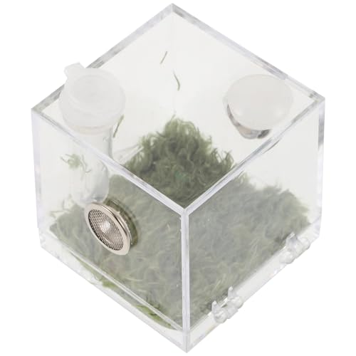 Alasum Klare Atmungsaktive Zuchtbox für Springspinnen Kleines Terrarium mit Seitlichen Belüftungslöchern Leichtes Kunststoff Insektengehege für Spinnen Insekten und Kleine Reptilien Alasum Klare Atmungsaktive Zuchtbox für Springspinnen Kleines Terrarium mit Seitlichen Belüftungslöchern Leichtes Kunststoff Insektengehege für Spinnen Insekten und Kleine Reptilien von Alasum