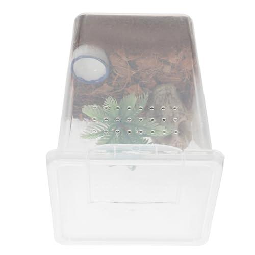 Alasum Kleines Springspinnen Terrarium mit Transparentem Gehege Sichere Mikrohabitat Zuchtbox Platzsparendes Spinnengehäuse für Innenbereich für Springspinnenhaltung und Beobachtung Alasum Kleines Springspinnen Terrarium mit Transparentem Gehege Sichere Mikrohabitat Zuchtbox Platzsparendes Spinnengehäuse für Innenbereich für Springspinnenhaltung und Beobachtung von Alasum
