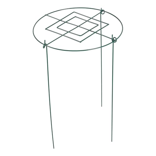 Alasum Metall Pflanzenstützgestell Rankhilfe für Kletterpflanzen Indoor Pflanzständer Stabiles Eisen Gartengestell für Blumen Gemüse Geeignet Alasum Metall Pflanzenstützgestell Rankhilfe für Kletterpflanzen Indoor Pflanzständer Stabiles Eisen Gartengestell für Blumen Gemüse Geeignet von Alasum