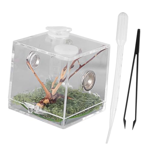 Alasum Springspinnen Zuchtbox Reptilientank Reptilienhaustier Reptiliengehege Gehege Schlangenterrarium Gecko Zubehör Transparenter Zuchtkoffer Spinnengehege Gecko Lebensraum Alasum Springspinnen Zuchtbox Reptilientank Reptilienhaustier Reptiliengehege Gehege Schlangenterrarium Gecko Zubehör Transparenter Zuchtkoffer Spinnengehege Gecko Lebensraum von Alasum