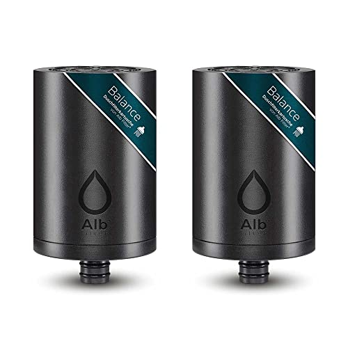 Alb Filter® Balance Ersatzkartusche | Duschfilter | Reduziert Schadstoffe, Mineralisiert und Stabilisiert | Made in Germany | 2er-Pack von Alb Filter
