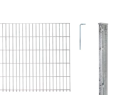 Alberts 674601 Doppelstab-Gittermatten Typ 8/6/8, 2500 mm, feuerverzinkt, Höhe 183 cm von Alberts