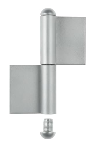 Alberts 866907 Konstruktionsband | Typ KO4 | Edelstahl | Höhe 120 mm | Durchmesser Ø9 mm | 10er Set, Silber von Alberts