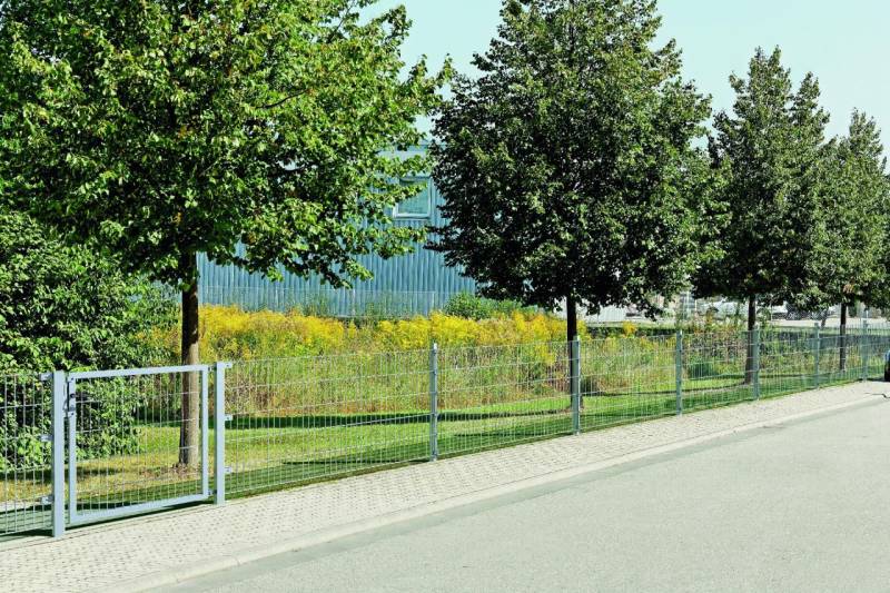 Alberts Doppelstabmatten-Grundset 10 m 250 x 143 cm 6/5/6 feuerverzinkt von Alberts