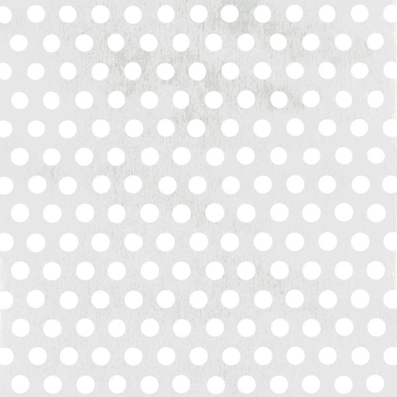 Alberts Lochblech Aluminium eloxiert 200 x 0,8/5 x 1000 mm runde Lochung von Alberts