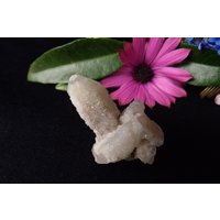 Spirit Quartz Mit Chlorit 8-16G Natürliche Unpolierte Drusi/Drusy Kaktus Quarz Punkt, Weiß-Klare Bergkristall Grünem Chlorit, Heilung von AlchemyArtsGifts