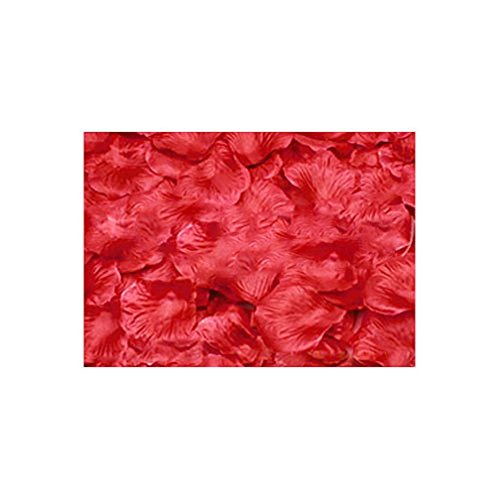 ALCYONEUS 100 Stück künstliche Rosenblüten für Hochzeit, Party, Tisch, Bodendekoration (01) von Alcyoneus