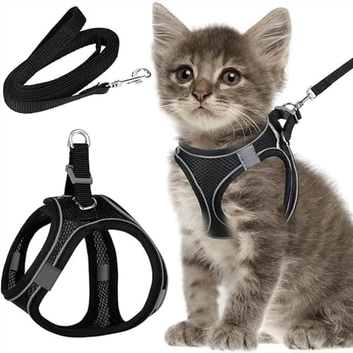 Atmungsaktives Katzengeschirr Verstellbar mit 150CM Leine Ausbruchsicher Reflektierend XXS Flexibel für Katzen Kätzchen Welpen Kleine Hunde zum Laufen Training Im Freien Sicher Atmungsaktives Katzengeschirr Verstellbar mit 150CM Leine Ausbruchsicher Reflektierend XXS Flexibel für Katzen Kätzchen Welpen Kleine Hunde zum Laufen Training Im Freien Sicher von Alecony
