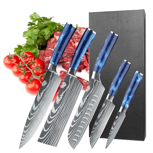 Aleevii 5-teiliges Premium-Kochmesser Set - Professionelle Küchenmesser aus rostfreiem Edelstahl Scharf Profi Kochmesser Set Ergonomischer Blauer Kunstharz Griff Aleevii 5-teiliges Premium-Kochmesser Set - Professionelle Küchenmesser aus rostfreiem Edelstahl Scharf Profi Kochmesser Set Ergonomischer Blauer Kunstharz Griff von Aleevii