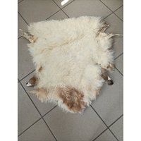 Echtes Schaffell, Ecru Und Zimtfarbenes Weiches Fell Für Bodenteppich von AlexFursGR
