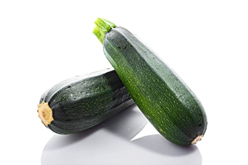 Zucchini Samen Diamant F1 Zucchinisamen Gemüsesamen ca 10 Korn Garten Hochbeet Saatgut AlexLand von AlexLand