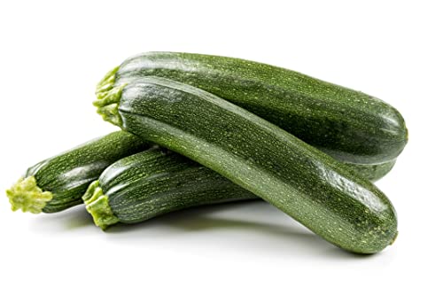 Zucchini Samen Partenon F1 Zucchinisamen Gemüsesamen 5 Korn Garten Hochbeet Saatgut Gemüse AlexLand von AlexLand