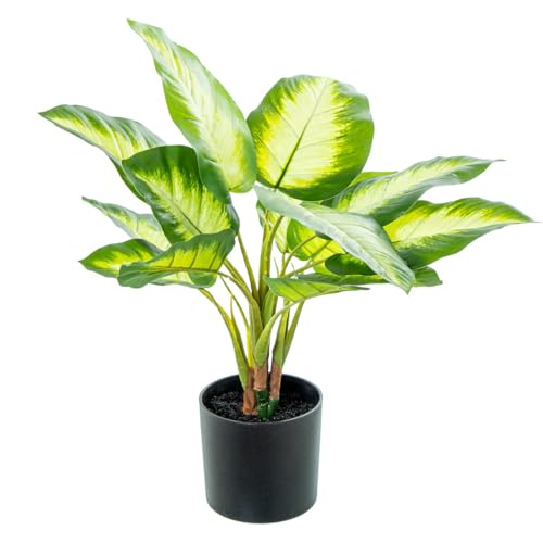 Alexandra House Living Aglaonema Deko-Pflanze aus Kunststoff, 50 cm von Alexandra House Living