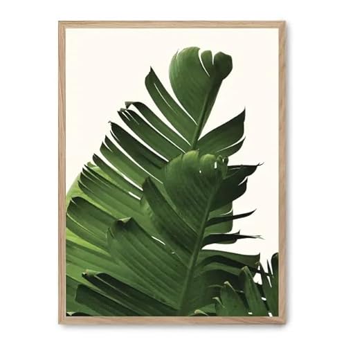 AlexandreHouse Bild Banana Leaves i_FASE5 AlexandreHouse Bild Banana Leaves i_FASE5 von AlexandreHouse