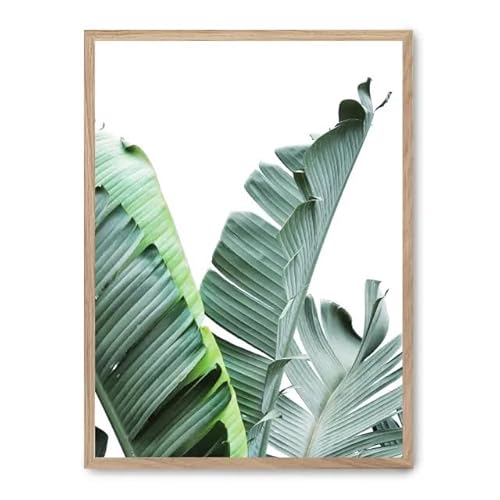 AlexandreHouse Bild Banana Leaves ii_FASE5 AlexandreHouse Bild Banana Leaves ii_FASE5 von AlexandreHouse