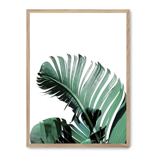 AlexandreHouse Bild Banana Leaves iii_FASE5, bunt AlexandreHouse Bild Banana Leaves iii_FASE5, bunt von AlexandreHouse