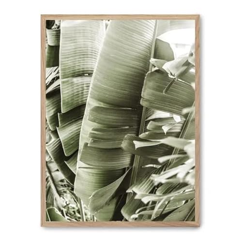 AlexandreHouse Bild Details of Banana Leaves i_FASE5 AlexandreHouse Bild Details of Banana Leaves i_FASE5 von AlexandreHouse