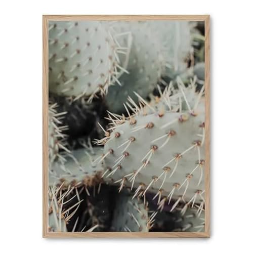 AlexandreHouse Bild Kaktus thorns_FASE5, bunt AlexandreHouse Bild Kaktus thorns_FASE5, bunt von AlexandreHouse