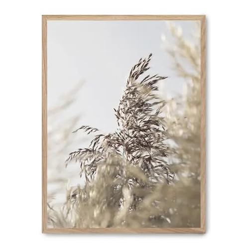 AlexandreHouse Bild Wild Plants i_FASE5 AlexandreHouse Bild Wild Plants i_FASE5 von AlexandreHouse