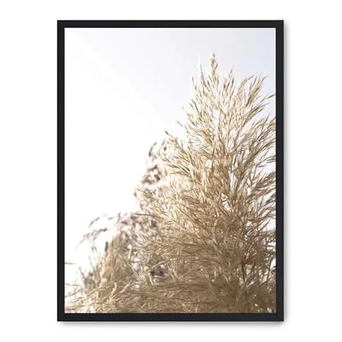 AlexandreHouse Bild Wild Plants ii_FASE5 AlexandreHouse Bild Wild Plants ii_FASE5 von AlexandreHouse
