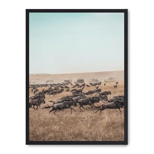 AlexandreHouse Bild wildebeest stampede_FASE5 AlexandreHouse Bild wildebeest stampede_FASE5 von AlexandreHouse