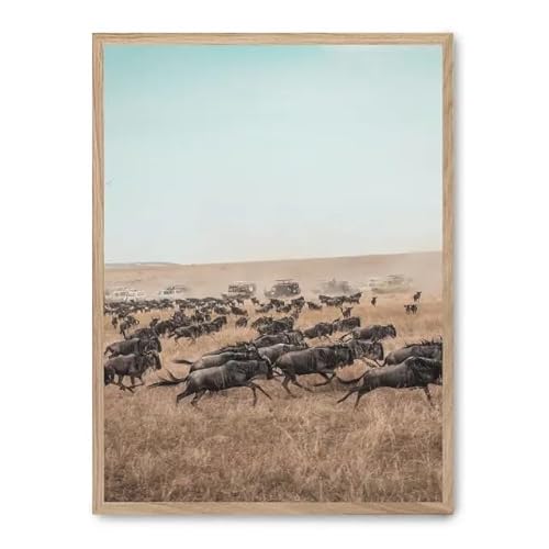 AlexandreHouse Bild wildebeest stampede_FASE5 AlexandreHouse Bild wildebeest stampede_FASE5 von AlexandreHouse