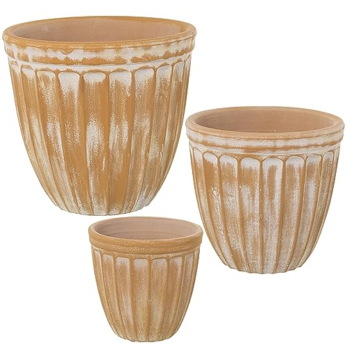 AlexandreHouse Set mit 3 Blumentöpfen aus Keramik, Gelb von AlexandreHouse